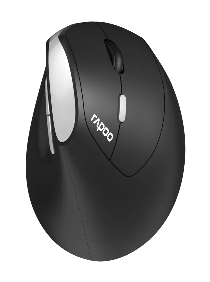 Rapoo EV250